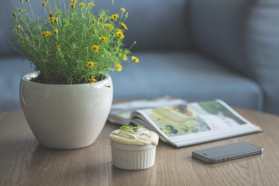 Meadow Ceramic Plant Pot
